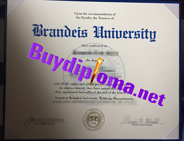 Branseis University degree