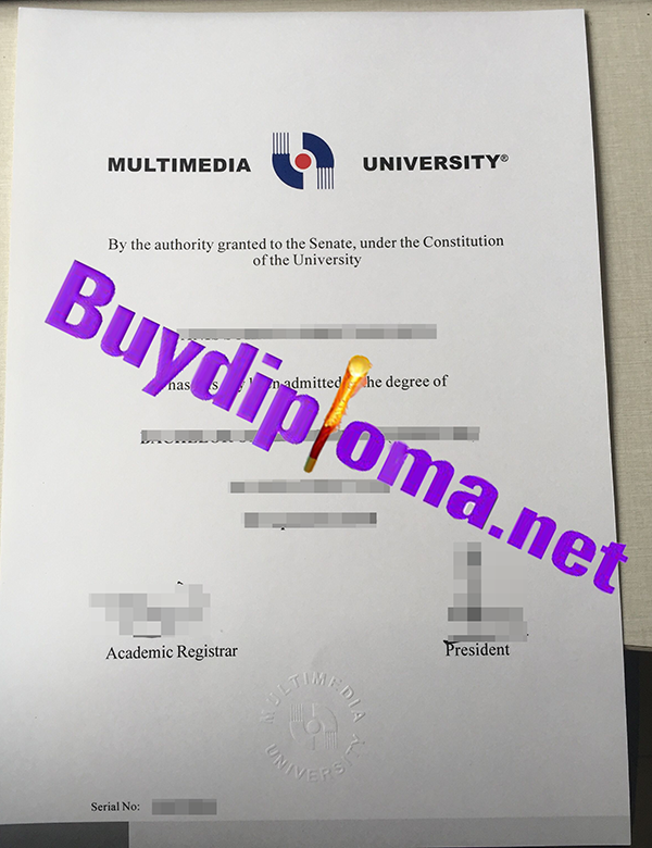 Multimedia University degree