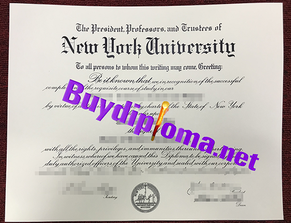 New York University degree