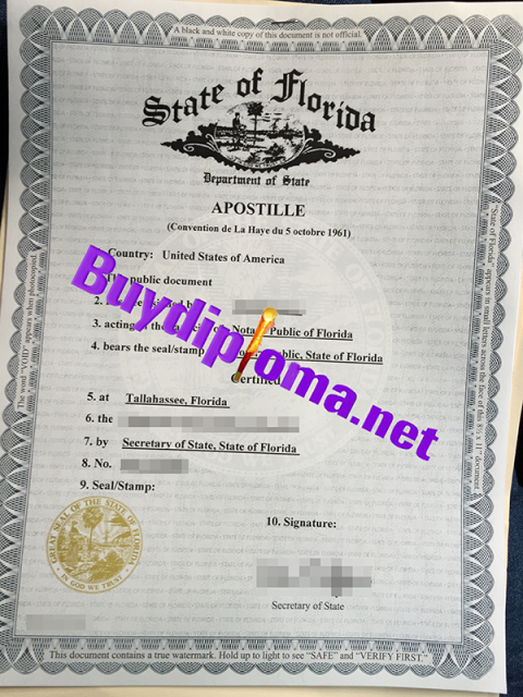 Where Can I Buy Fake State Of Florida Apostille Fake College Diploma   State Of Florida Apostille 480x640 