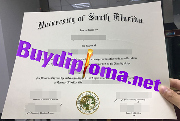 University Of South Florida Degree 1 